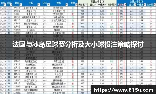 法国与冰岛足球赛分析及大小球投注策略探讨